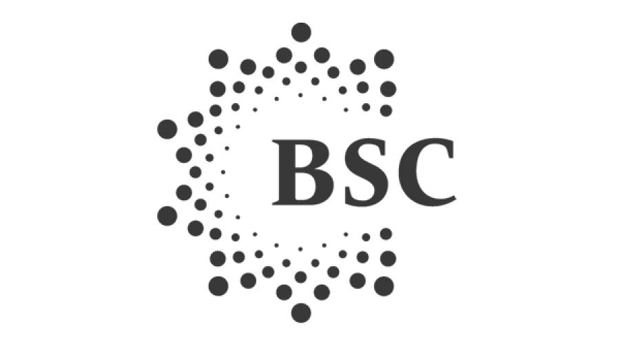 bsc.webp